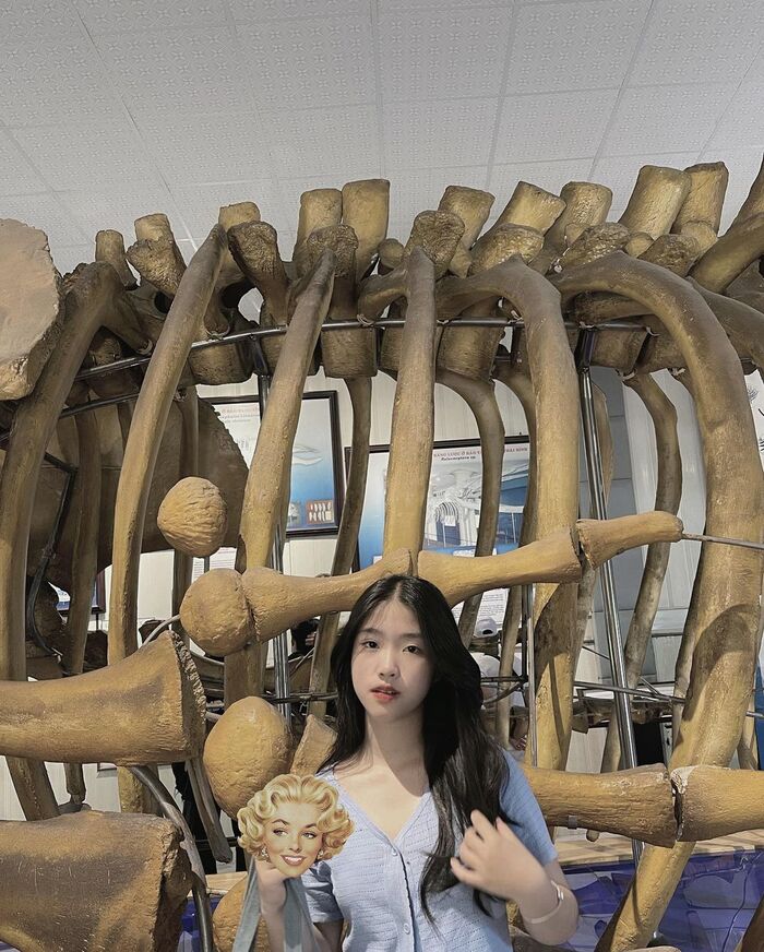 “Quẩy thả ga” và check-in ‘mệt nghỉ’ tại các địa điểm du lịch Tết ở Nha Trang “Quẩy thả ga” và check-in ‘mệt nghỉ’ tại các địa điểm du lịch Tết ở Nha Trang